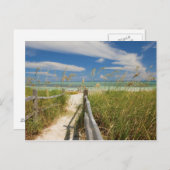 Seeziegen (Uniola paniculata), die am Strand angeb Postkarte (Vorne/Hinten)