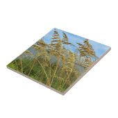 Seezunge Fliese (Seite)