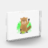 Seezunge Fotoblock (Links)