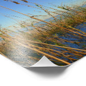 Seezunge Fotodruck (Ecke)