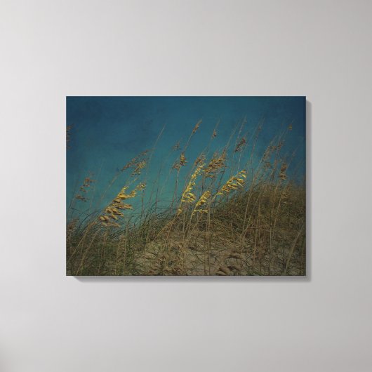 Seezunge Leinwanddruck (Vorderseite)