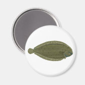 Seezunge Magnet (Vorderseite/Rückseite)