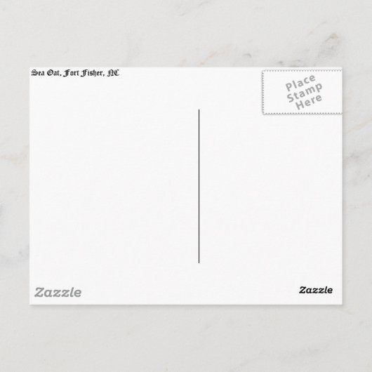 Seezunge Postkarte (Rückseite)