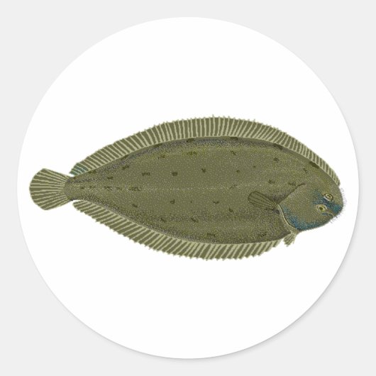 Seezunge Runder Aufkleber (Vorderseite)