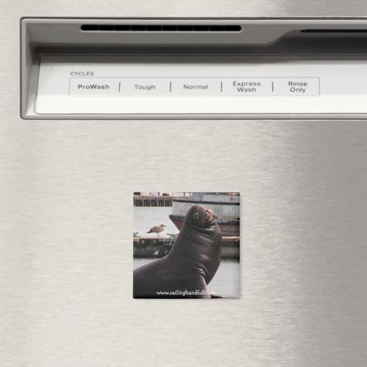 Seezungensegler Magnet (In Situ (Geschirrspüler))