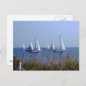 Segel auf dem Chesapeake Postkarte (Vorne/Hinten)