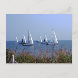 Segel auf dem Chesapeake Postkarte
