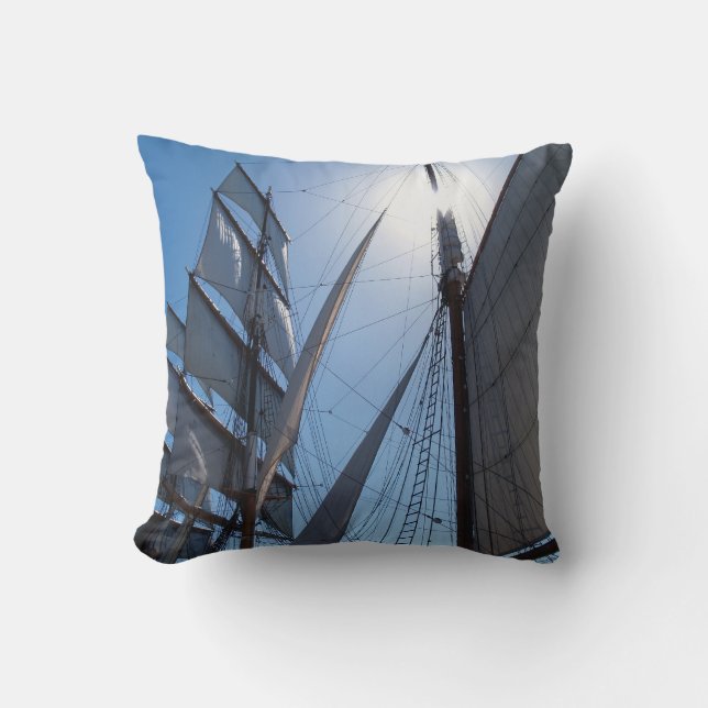 Segel auf einem Kissen (Vorderseite)