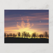 Segel die NachtSky Postkarte (Vorderseite)