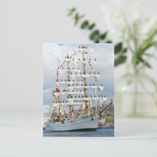 Segel-Parade Postkarte (Stehend Vorderseite)