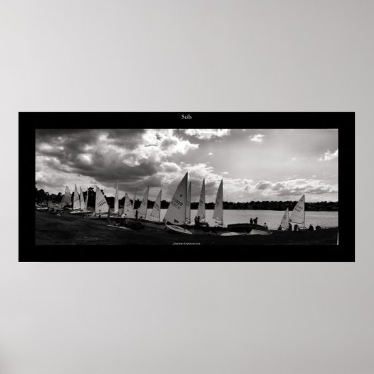 Segel Poster (Vorne)