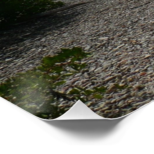 Segelboot in der Ferne bei St. Thomas Poster (Ecke)