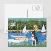 Segelboote - Boston Terrier #@ Postkarte (Vorne/Hinten)