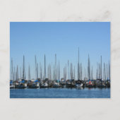 Segelboote in einer Row St. Petersburg FL Fotograf Postkarte (Vorderseite)