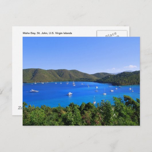 Segelboote, Maho Bay, St. John, U.S.V.I. Postkarte (Vorne/Hinten)