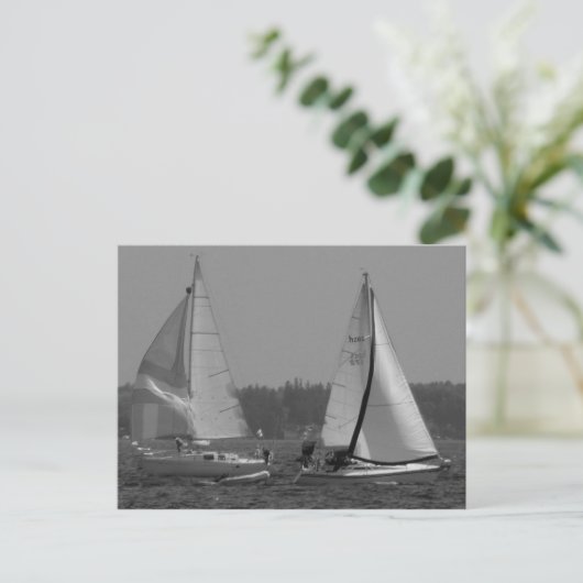 Segelboote Postkarte (Stehend Vorderseite)