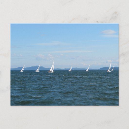 Segelbootrennen Postkarte (Vorderseite)