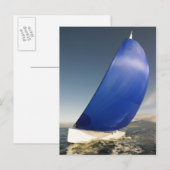 Segelboottipps im Wind Postkarte (Vorne/Hinten)