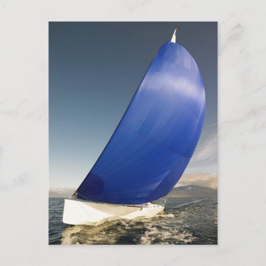 Segelboottipps im Wind Postkarte (Vorderseite)