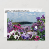 Segelbrücke und Blume 15r1 Postkarte (Vorne/Hinten)