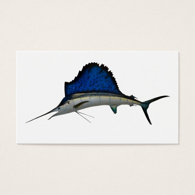 Segelfisch (Vorderseite)
