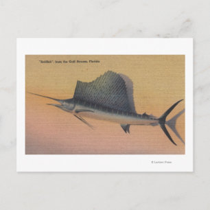 Segelfisch aus Golfstrom, Florida Postkarte
