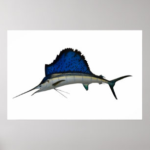 Segelfisch Poster