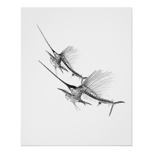 Segelfisch Skelett Fischer Poster (Vorderseite)