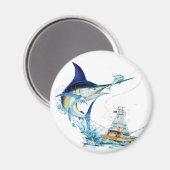 Segelfische nehmen den Köder Magnet (Vorderseite/Rückseite)
