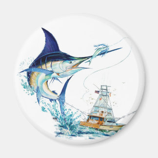 Segelfische nehmen den Köder Magnet