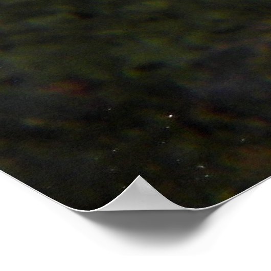 Segelflossen-Tang von Desjardin (Zebrasoma desjard Poster (Ecke)