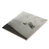 Segelflugtest Flug Luftfahrt Wright Brothers Fliese (Seite)
