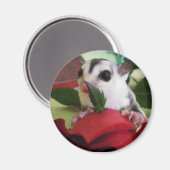 Segelflugzeug mit Rose Magnet (Vorderseite/Rückseite)