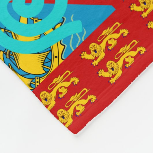 Segellionen Fleecedecke (Ecke)