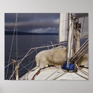 Segeln in einen Sturm - Kunstdruck Poster