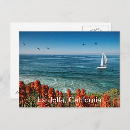 Segeln in La Jolla Postkarte (Vorne/Hinten)