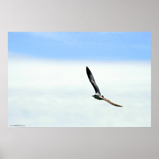 Segeln - Maßgeschneidert Poster (Vorne)