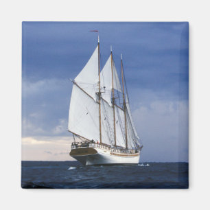 Segelschiff auf der Ostsee Magnet