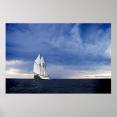 Segelschiff in der Ostsee Poster (Vorne)