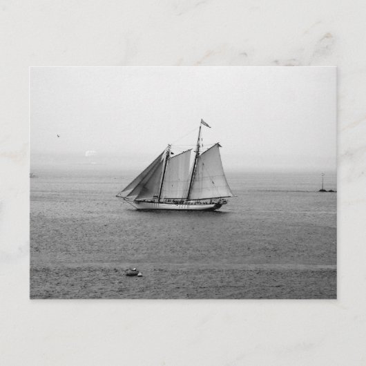 Segelschiff Postkarte (Vorderseite)