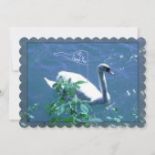 Segelschwan Dankeskarte Einladung (Vorderseite)