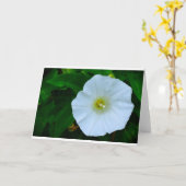 Segen der Natur, Karte (Gelbe Blume)