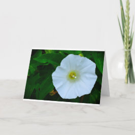 Segen der Natur, Karte