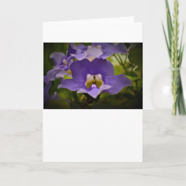 Segen der Natur, Karte