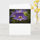 Segen der Natur, Karte (Gelbe Blume)