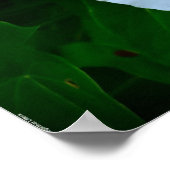 Segen der Natur Poster (Ecke)