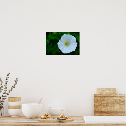 Segen der Natur Poster (Küche)