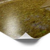 "Segen in Verschleierung" Fotodruck (Ecke)