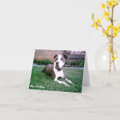 Segen Sie die Bullys notecard Karte (Gelbe Blume)