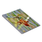 Seggegras und Libelle Notizblock (Rechte Seite)